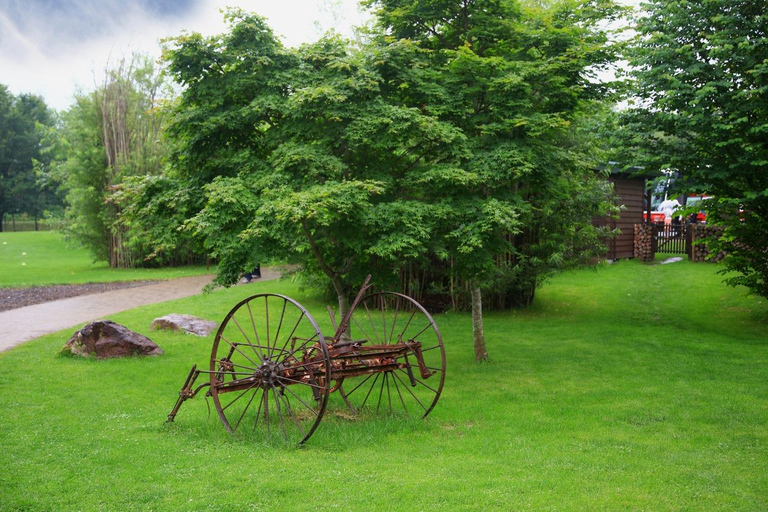 Sapporo: Hokkaido Snowy Wilderness Day Tour