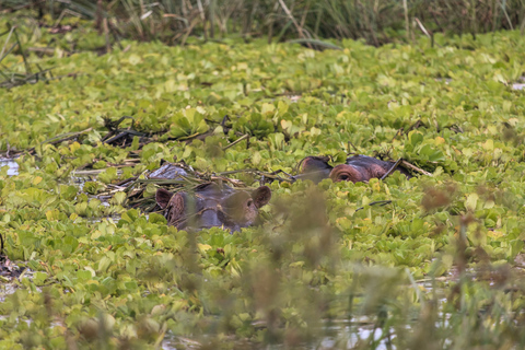 From Zanzibar: 2-Day Selous Safari with Flights & Lodge Stay 2-Day Selous Safari - Without Transfer