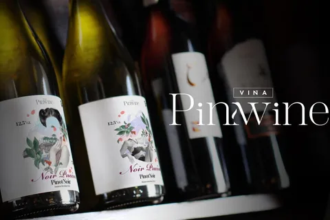 Wine Tour with tasting at Pucón's first winery