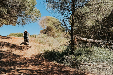 Falésia Cliffs E-Bike Tour with Ocean Views