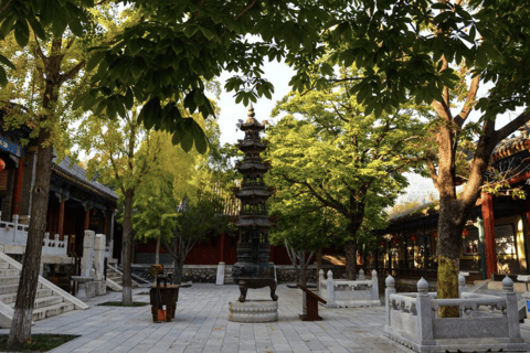 Beijing: Shaolin Temple Day Tour by Round Trip Bullet TrainTour with Beijing - Zhengzhou Round Trip 2nd Class Tickets