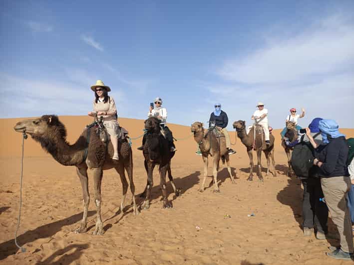 Excursion de 4 jours dans le désert du Sahara, de Marrakech à Fès via Merzouga - dromadaire