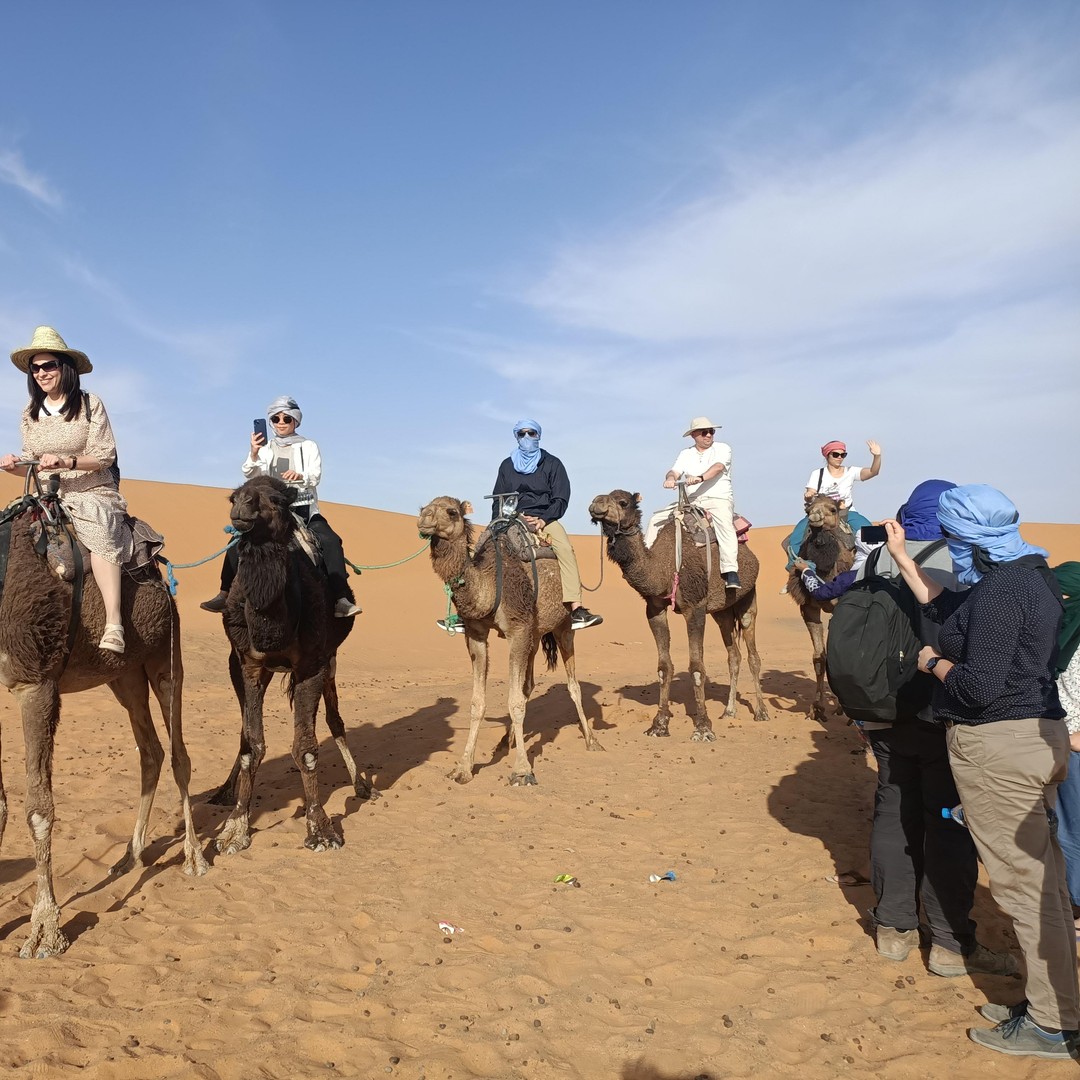 Excursion de 4 jours dans le désert du Sahara, de Marrakech à Fès via Merzouga - dromadaire