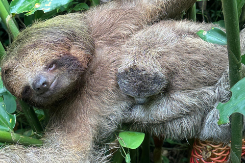 From San José: 3-Day Costa Rica Volcanoes & Waterfalls Tour