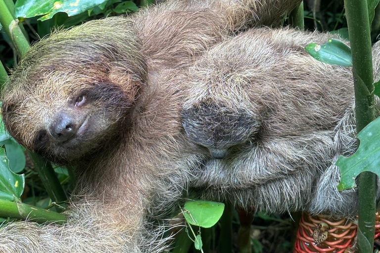 From San José: 3-Day Costa Rica Volcanoes & Waterfalls Tour