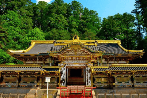 From Tokyo: Nikko World Heritage Full Day Private Tour