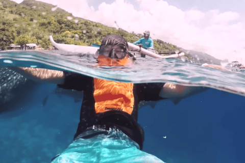 Cebu: Oslob Whale Shark, Simala Church & Ka Treasure Argao