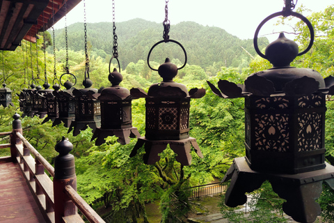 Nara: Explore Tanzan Shrine’s Pagoda and Sacred History