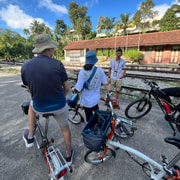 Singapore Brompton Bike Tour from Rail Corridor, with food!