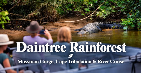 Daintree Day Tour: Mossman Gorge, Cape Tribulation & Cruise