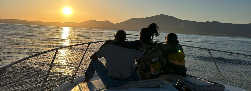 Estepona : Croisière au coucher du soleil à la recherche de dauphins avec boisson et collation