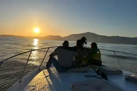 Estepona: Solnedgångskryssning med delfinsökning med dryck och tilltugg