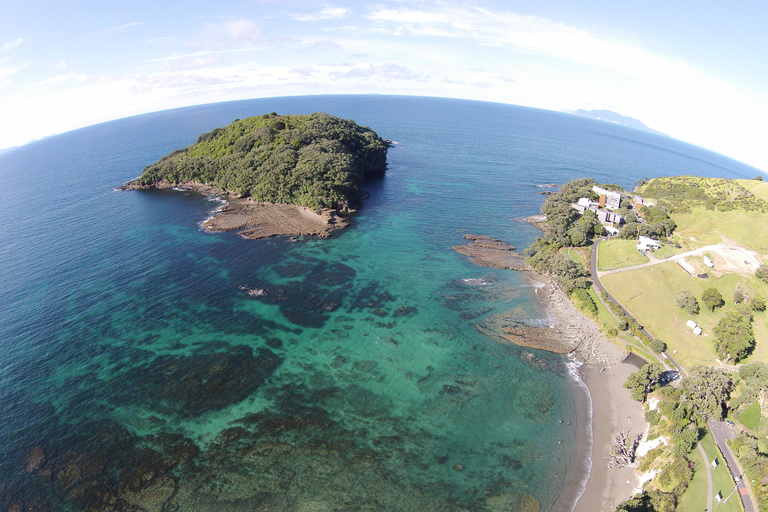 Goat Island Guided Snorkeling Tour for Beginners