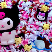 Jeju Trendy Café Tour including Hello Kitty Island
