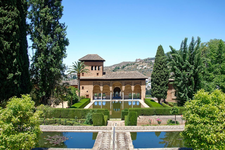 Alhambra: complete tour with Nasrid Palaces, official tour guide, and tickets Tour in English
