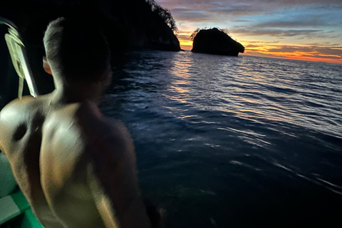 Puerto Vallarta: Bioluminescencja w Parku Morskim Los Arcos