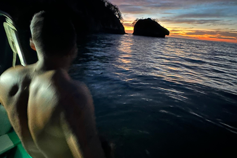 Puerto Vallarta: Bioluminescencja w Parku Morskim Los Arcos