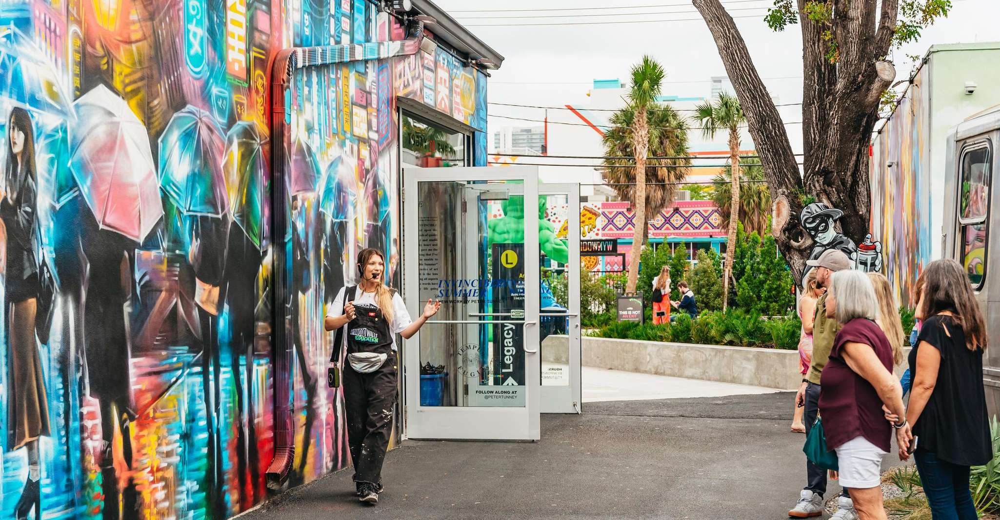 Miami: Wynwood Walls, Galleries, and Murals Guided Tour photo 8