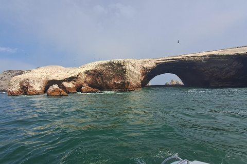 GRUPA PEŁEN DZIEŃ Paracas (Ballestas) + Ica + Huacachina (Oaza)