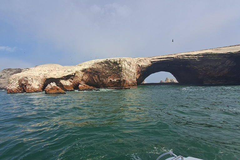 GRUPAL GIORNO COMPLETO Paracas(Ballestas) + Ica + Huacachina(Oasi)