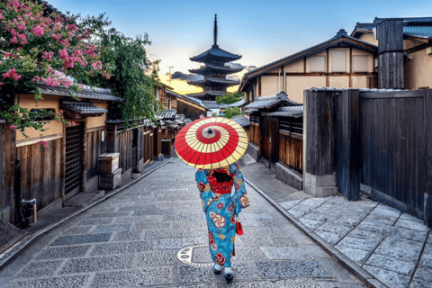 Kyoto & Nara: Exclusive Full-Day Private Tour with Pickup