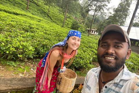 Ella: 3-Day Heritage Tour to Kandy, Nuwara Eliya & Sigiriya