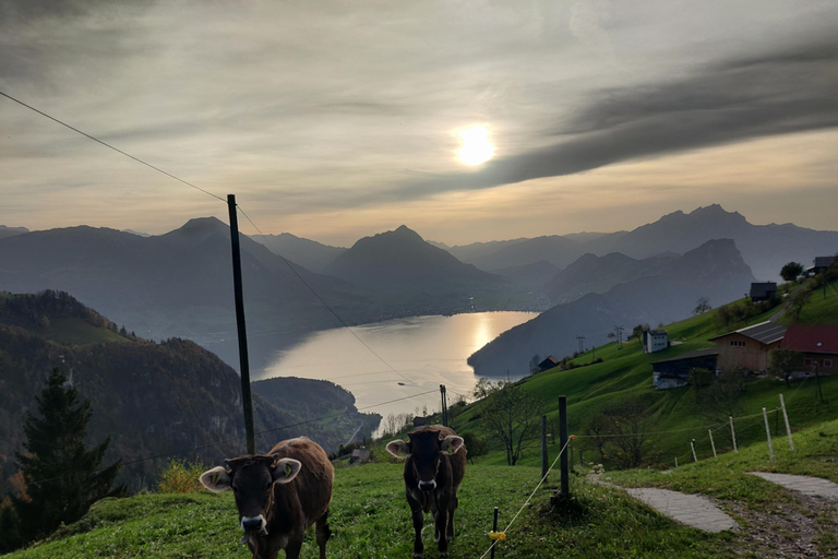 Indimenticabile escursione sul Rigi: un lago e un panorama alpino fenomenali