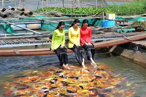 From Ho Chi Minh: Group Tour Cai Rang Floating Market 1 day