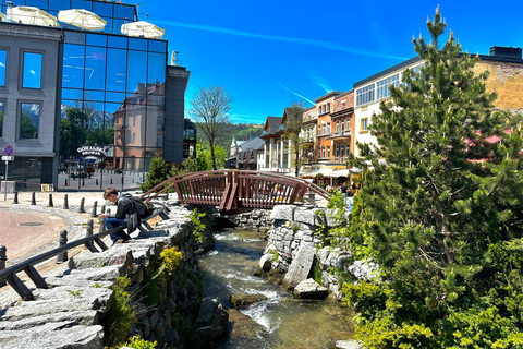 Zakopane and Thermal Bath End-to-End Travel Service Zakopane & Chochołowskie Bath - Small Group