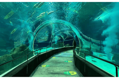 Rio de Janeiro Aquarium: AquaRio Entrance Official Ticket