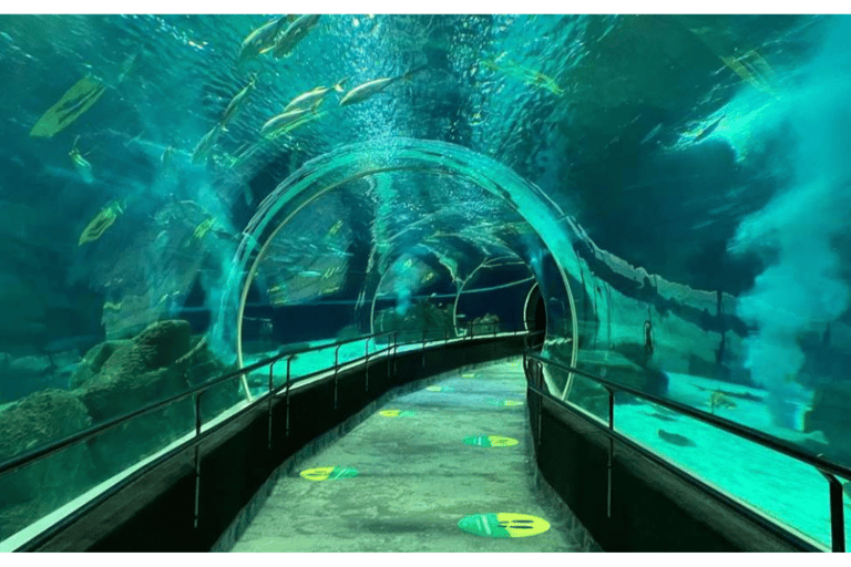 Rio de Janeiro Aquarium: AquaRio Entrance Official Ticket
