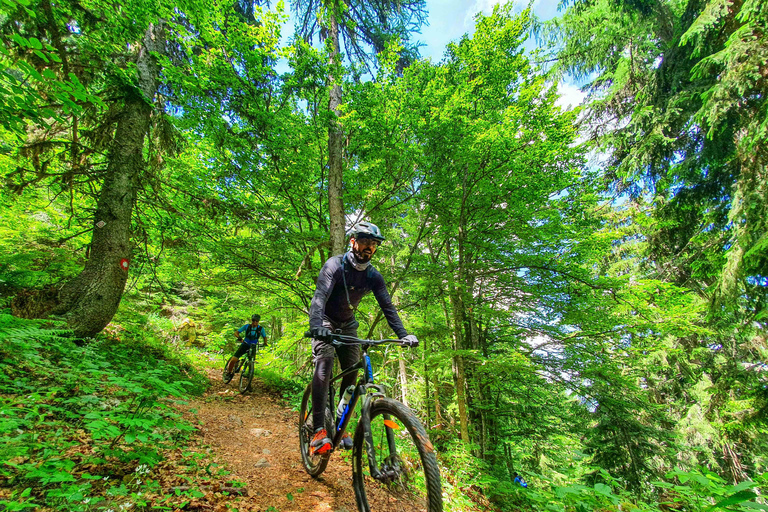 Sarajevo: Hardtail Mountain Bike Rental with Helmet and Lock