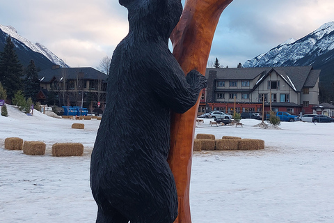 Banff: Uma excursão particular de um dia - Tour dos destaques