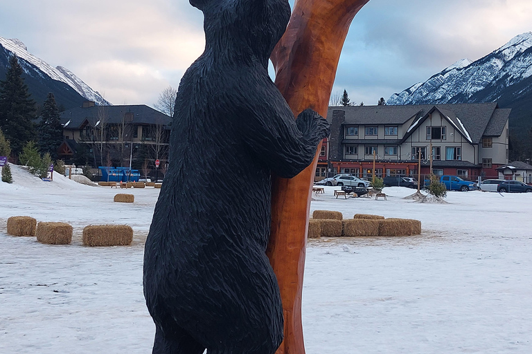 Banff : Une excursion privée d&#039;une journée - Tour des points forts