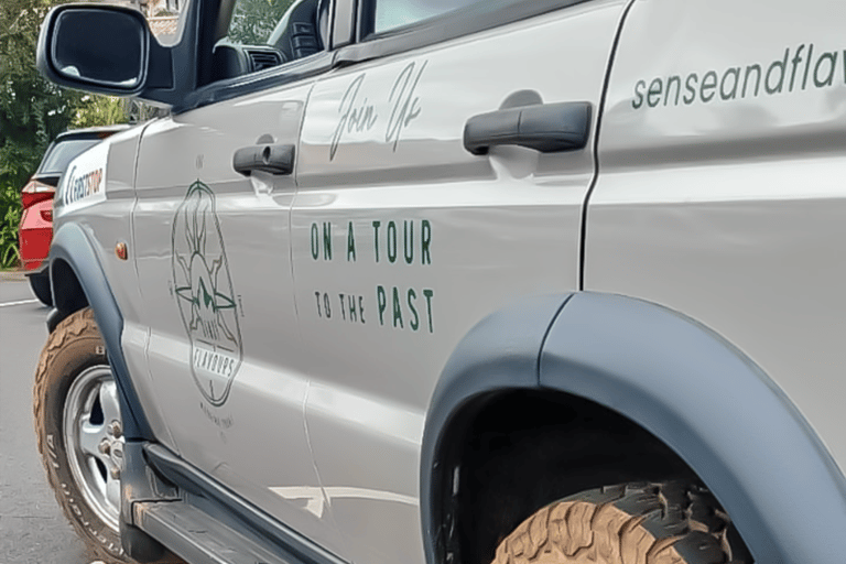 CIRCUIT SAFARI | SUD-OUESTSAFARI TOUR | SUD-OUEST
