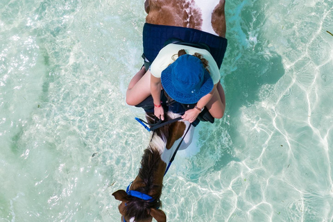 Zanzibar: Passeio a cavalo e natação com tartarugas