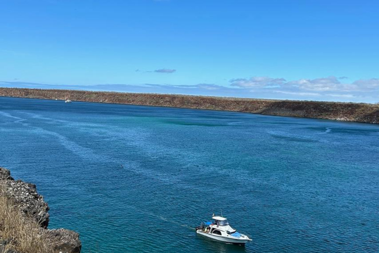 Santa Cruz in One Day with Arrival Transfer