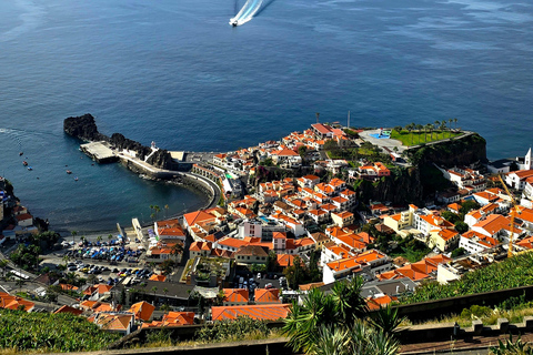 Funchal: West Madeira Private Tour Waterfall & Volcanic Pool
