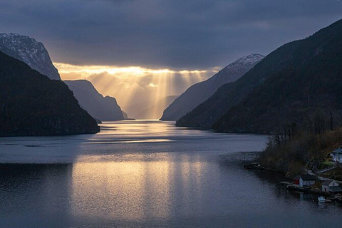 Bergen: Fiordo de Bergen en zodiac o barco pontón