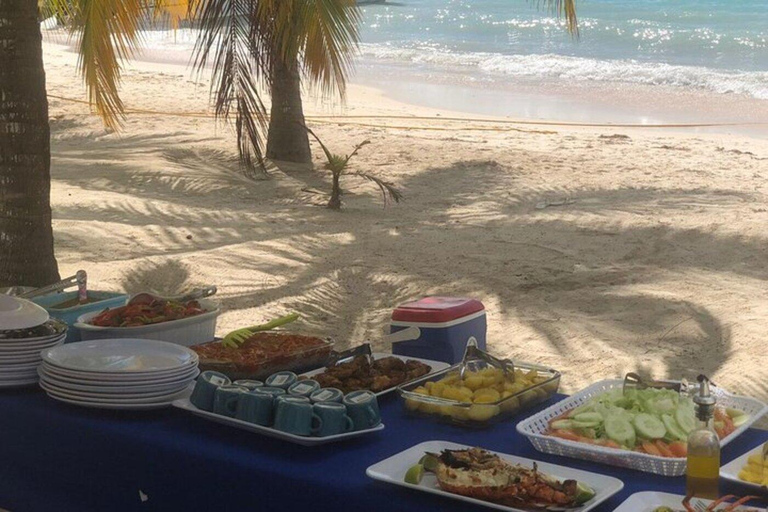 Private Saona Island VIP Beach Escape & Mano Juan Experience