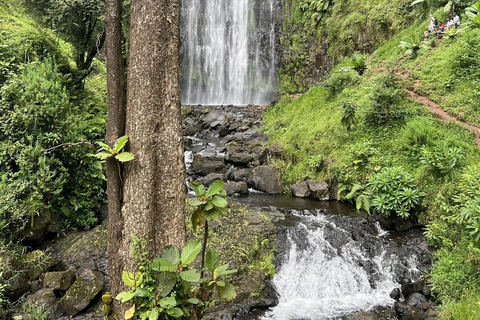 Materuni Waterfalls and Coffee Day Tour