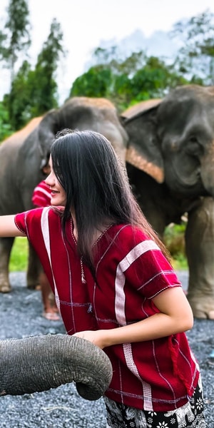 Phuket, Elephant Experience with Lunch or Dinner and Pickup - Housity