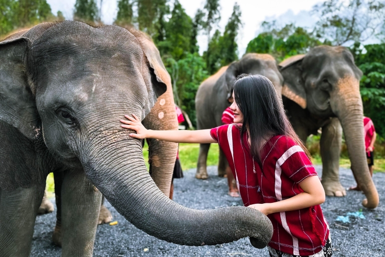 Phuket : Demi-journée à la rencontre des éléphants avec déjeuner et prise en charge