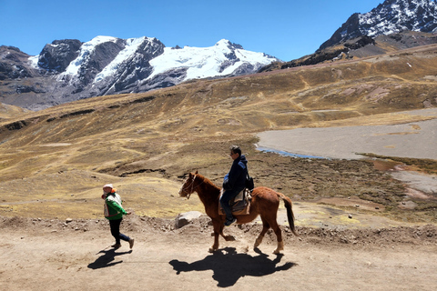 Desde Cusco: Tour de día completo a la montaña Arco Iris y al Valle Rojo