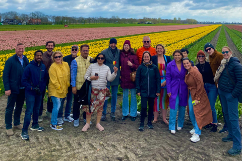 Amsterdam: Tulip Fields Day Tour with Lunch & Windmill