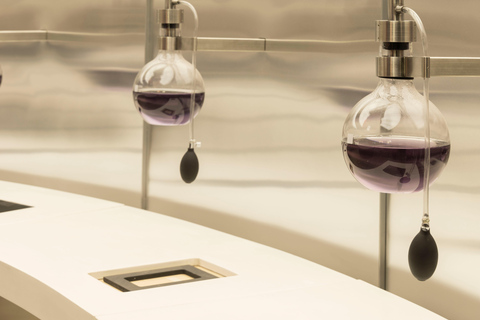 Santiago: Premium Guided Tour of the Concha y Toro Wine Center PREMIUM GUIDED TOUR OF THE CONCHA Y TORO WINE CENTER