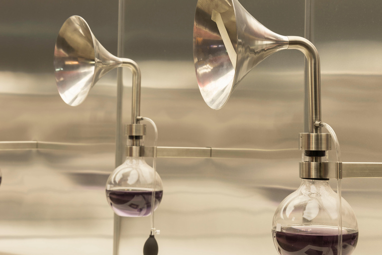 Santiago: Premium Guided Tour of the Concha y Toro Wine Center PREMIUM GUIDED TOUR OF THE CONCHA Y TORO WINE CENTER