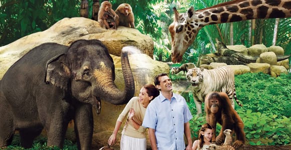 Singapore : Zoo Entry Ticket with Hotel Transfers