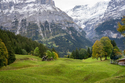 Private driver from Zurich to Jungfraujoch, Bern & back