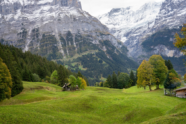 Private driver for tour from Zurich to Jungfraujoch and back